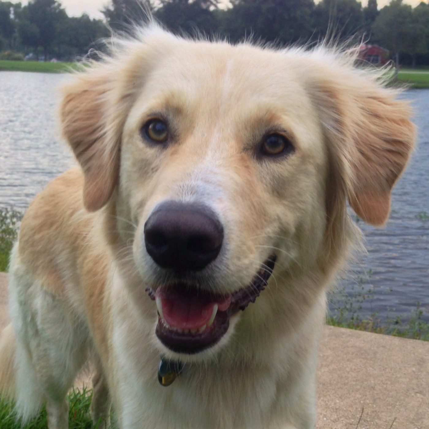 Ted